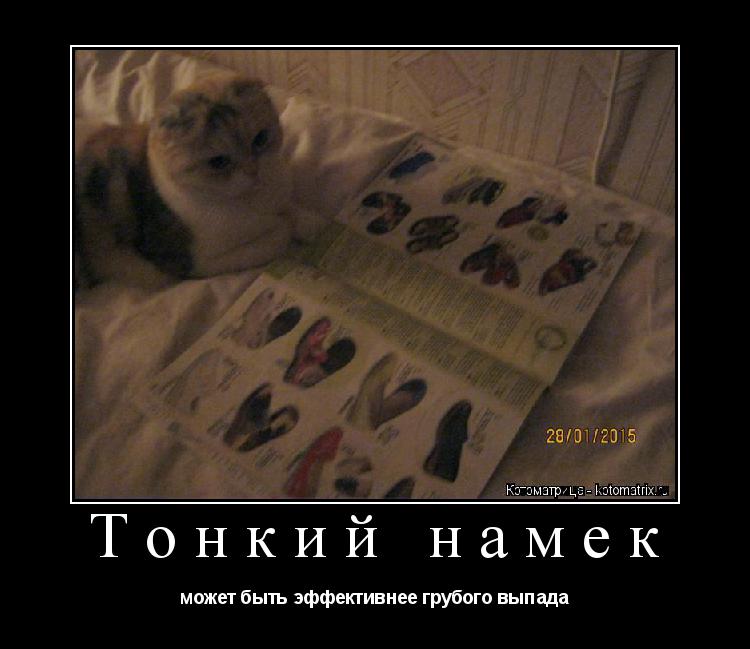 Котоматрица: Тонкий намек может быть эффективнее грубого выпада