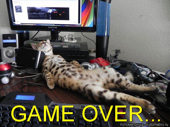 Котоматрица: GAME OVER...