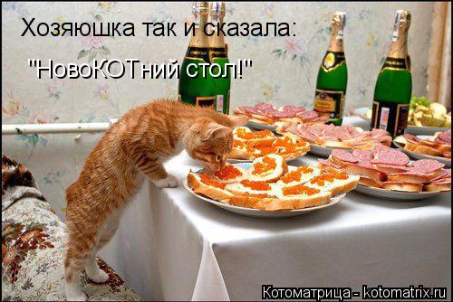 Котоматрица: Хозяюшка так и сказала: "НовоКОТний стол!"