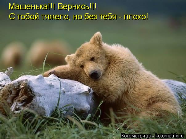 Машенька!!! Вернись!!! С тобой тяжело, но без тебя - плохо!... Котоматрица: Машенька!!! Вернись!!! С тобой тяжело, но без тебя - плохо!