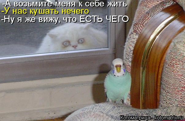 -А возьмите меня к себе жить -У нас кушать нечего -Ну я же вижу, что ЕСТЬ ЧЕГО... Котоматрица: -А возьмите меня к себе жить -У нас кушать нечего -Ну я же вижу, что ЕСТЬ ЧЕГО