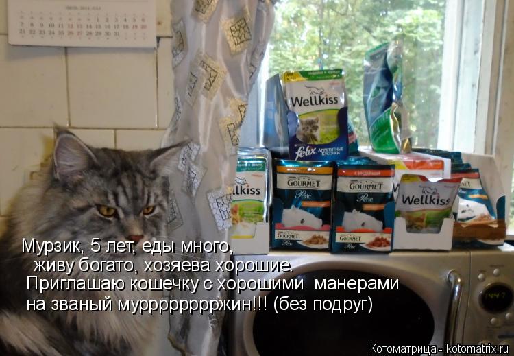 Котоматрица: Мурзик, 5 лет, еды много,   живу богато, хозяева хорошие.   Приглашаю кошечку с хорошими  манерами  на званый мурррррррржин!!! (без подруг)