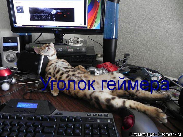 Котоматрица: Уголок геймера