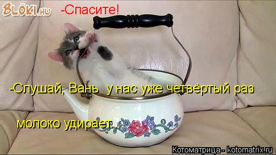 Котоматрица: -Спасите!  -Слушай, Вань  у нас уже четвёртый раз молоко удирает...