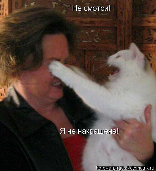 Не смотри! Я не накрашена!... Котоматрица: Не смотри! Я не накрашена!