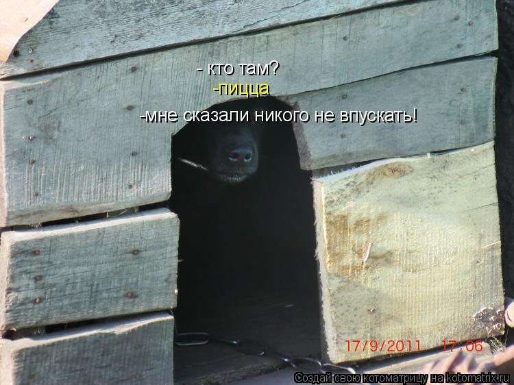 Котоматрица: - кто там? -мне сказали никого не впускать! -пицца