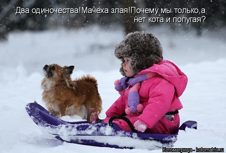 Котоматрица: Два одиночества!Мачеха злая!Почему мы только,а нет кота и попугая?