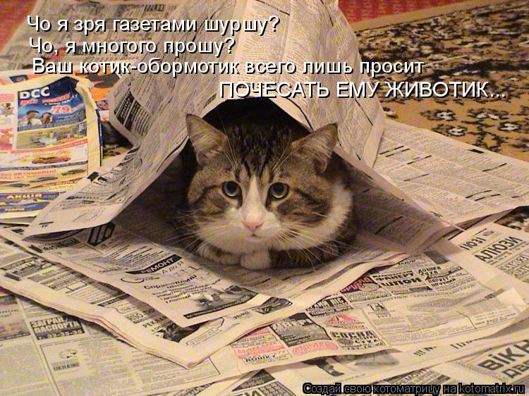 Котоматрица: Чо я зря газетами шуршу?  Чо, я многого прошу? Ваш котик-обормотик всего лишь просит ПОЧЕСАТЬ ЕМУ ЖИВОТИК...