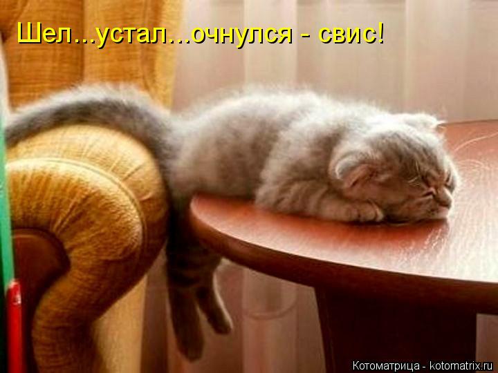 Шел...устал...очнулся - свис!... Котоматрица: Шел...устал...очнулся - свис!