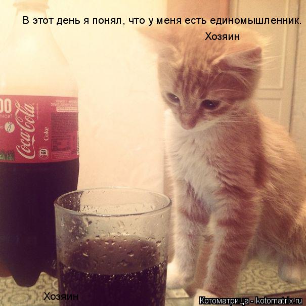 В этот день я понял, что у меня есть единомышленник. Хозяин Хозяин... Котоматрица: В этот день я понял, что у меня есть единомышленник. Хозяин Хозяин