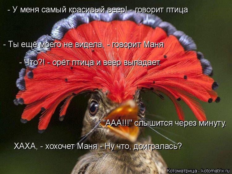 Котоматрица: - У меня самый красивый веер! - говорит птица  - Ты ещё моего не видела, - говорит Маня  - Что?! - орёт птица и веер выпадает. "ААА!!!" слышится через 