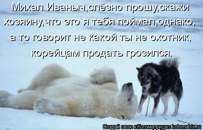Котоматрица: Михал Иваныч,слёзно прошу,скажи хозяину,что это я тебя поймал,однако, а то говорит не какой ты не охотник, корейцам продать грозился.