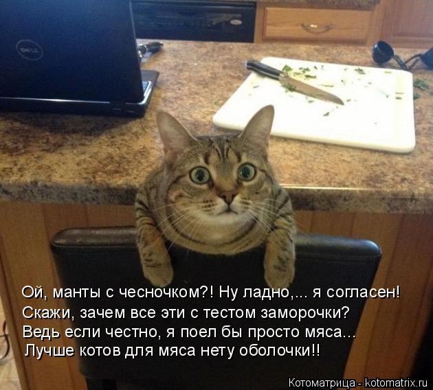 Котоматрица: Ой, манты с чесночком?! Ну ладно,... я согласен! Скажи, зачем все эти с тестом заморочки? Ведь если честно, я поел бы просто мяса... Лучше котов дл