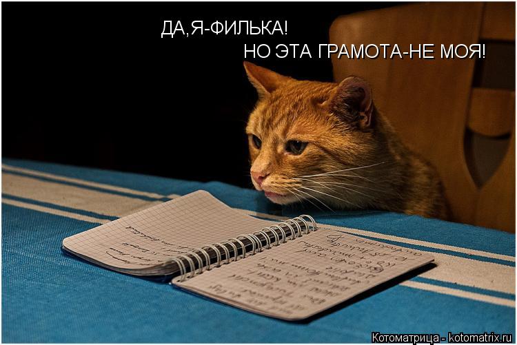 ДА,Я-ФИЛЬКА! НО ЭТА ГРАМОТА-НЕ МОЯ!... Котоматрица: ДА,Я-ФИЛЬКА! НО ЭТА ГРАМОТА-НЕ МОЯ!