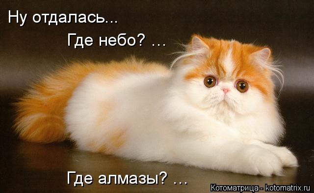 Ну отдалась... Где небо? … Где алмазы? …... Котоматрица: Ну отдалась... Где небо? … Где алмазы? …