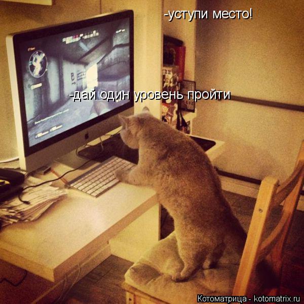 Котоматрица: -уступи место! -уступи место! -дай один уровень пройти -дай один уровень пройти
