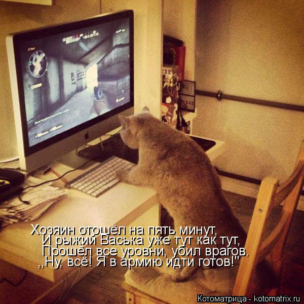 Котоматрица: Хозяин отошёл на пять минут, И рыжий Васька уже тут как тут, Прошёл все уровни, убил врагов. ,,Ну, всё! Я в армию идти готов!"