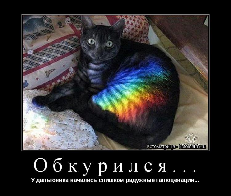 Котоматрица: Обкурился... У дальтоника начались слишком радужные галюценации...