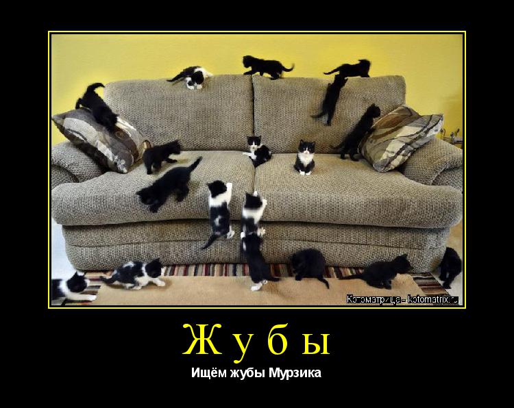 Котоматрица: Жубы Ищём жубы Мурзика