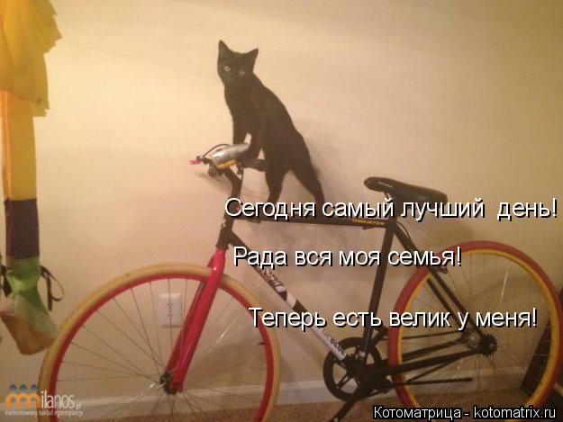 Котоматрица: Сегодня самый лучший  день! Рада вся моя семья!  Теперь есть велик у меня!