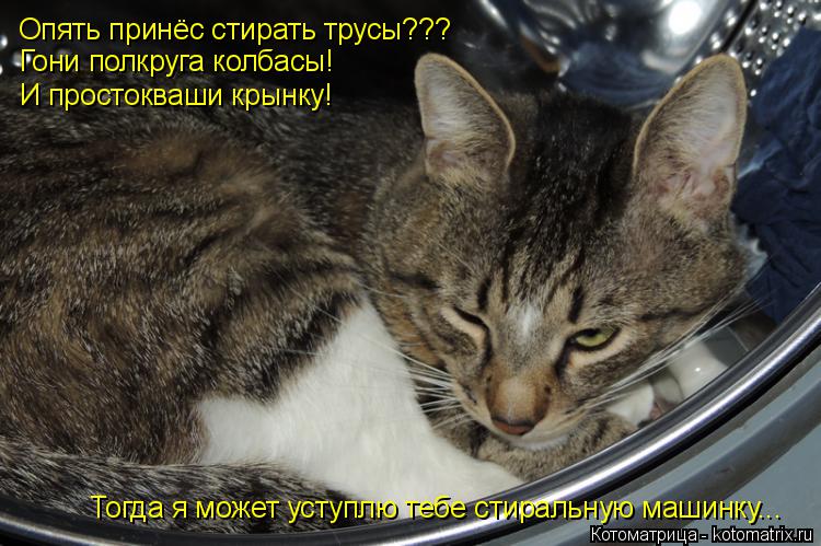 Котоматрица: Опять принёс стирать трусы??? Гони полкруга колбасы! И простокваши крынку! Тогда я может уступлю тебе стиральную машинку...