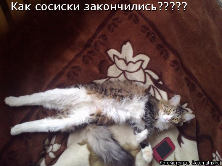 Котоматрица: Как сосиски закончились?????