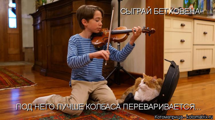 СЫГРАЙ БЕТХОВЕНА- ПОД НЕГО ЛУЧШЕ КОЛБАСА ПЕРЕВАРИВАЕТСЯ...... Котоматрица: СЫГРАЙ БЕТХОВЕНА- ПОД НЕГО ЛУЧШЕ КОЛБАСА ПЕРЕВАРИВАЕТСЯ...