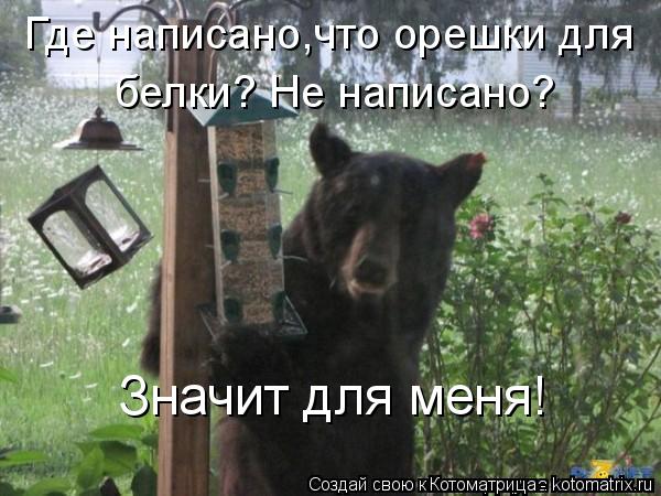 Где написано,что орешки для белки? Не написано? Значит для меня!... Котоматрица: Где написано,что орешки для белки? Не написано? Значит для меня!