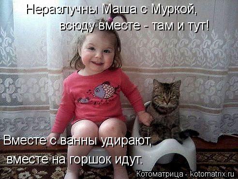 Котоматрица: Неразлучны Маша с Муркой, всюду вместе - там и тут! Вместе с ванны удирают, вместе на горшок идут.
