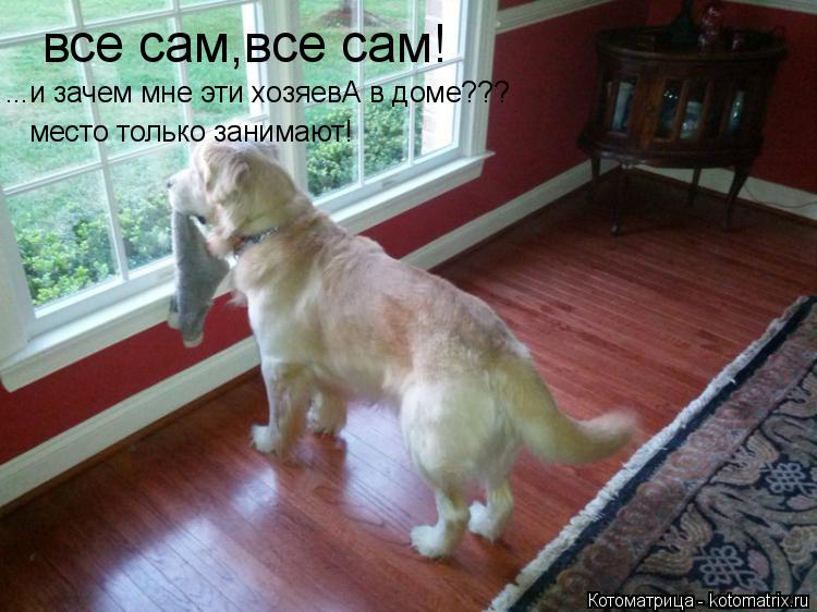 Котоматрица: все сам,все сам! ...и зачем мне эти хозяевА в доме??? место только занимают!