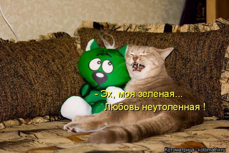 Котоматрица: - Эх, моя зеленая... Любовь неутоленная !