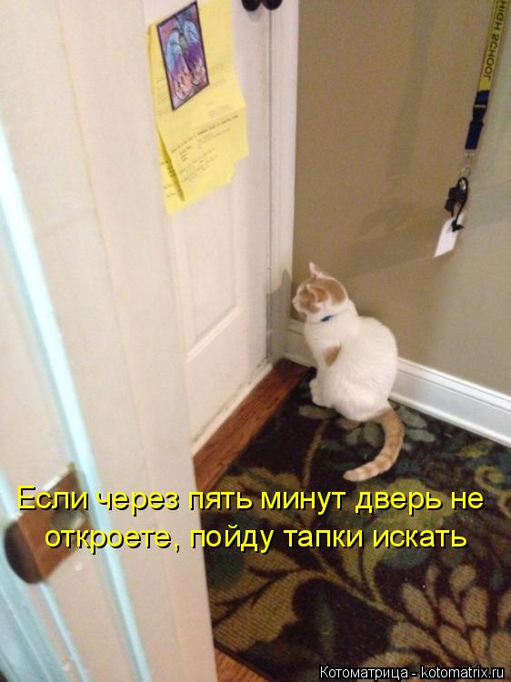 Котоматрица: Если через пять минут дверь не  откроете, пойду тапки искать