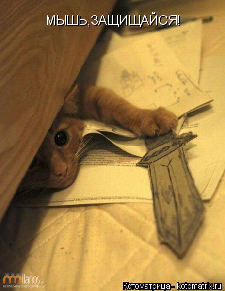 МЫШЬ,ЗАЩИЩАЙСЯ!... Котоматрица: МЫШЬ,ЗАЩИЩАЙСЯ!