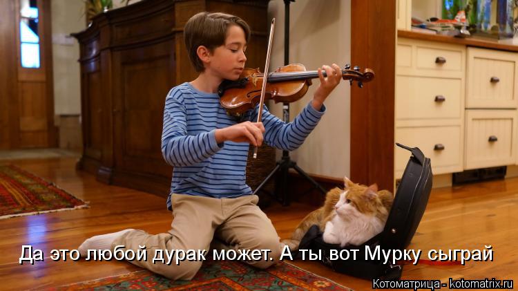 Котоматрица: Да это любой дурак может. А ты вот Мурку сыграй