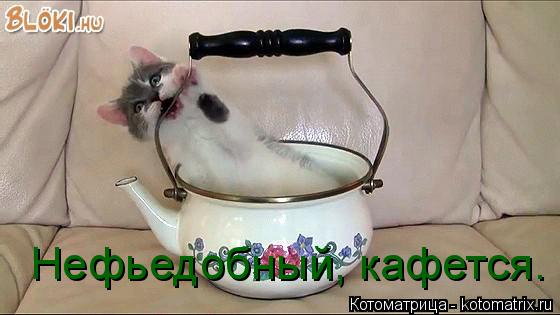 Котоматрица: Нефьедобный, кафется.