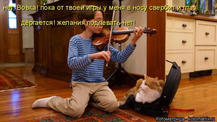 Котоматрица: нет, Вовка! пока от твоей игры у меня в носу свербит и глаз дёргается! желания подпевать-нет!