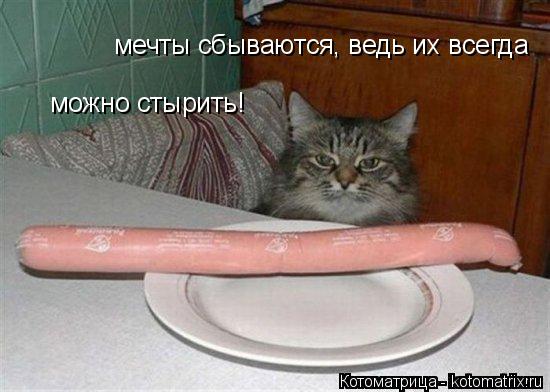 Котоматрица: мечты сбываются, ведь их всегда можно стырить!
