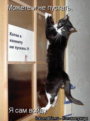 Котоматрица: Можете и не пускать, Я сам войду.
