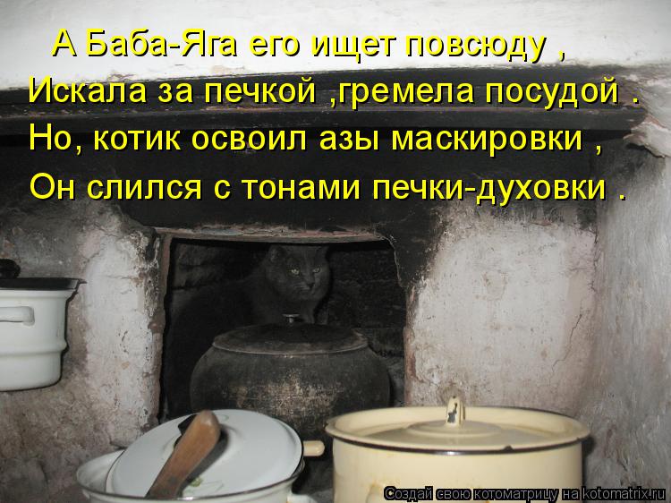 Котоматрица: А Баба-Яга его ищет повсюду , Искала за печкой ,гремела посудой . Но, котик освоил азы маскировки , Он слился с тонами печки-духовки .