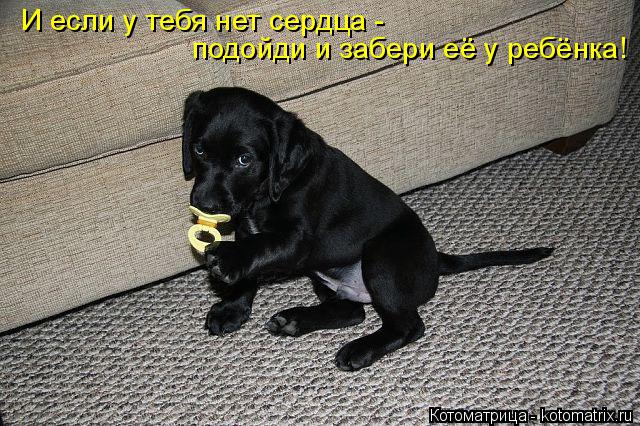 Котоматрица: И если у тебя нет сердца - подойди и забери её у ребёнка!
