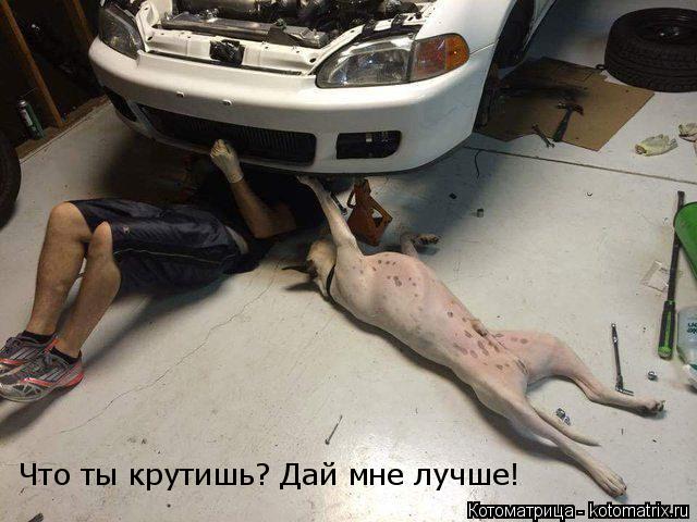 Котоматрица: Что ты крутишь? Дай мне лучше!
