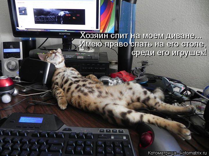 Котоматрица: Хозяин спит на моем диване... Имею право спать на его столе,  среди его игрушек!