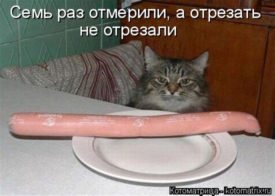 Котоматрица: Семь раз отмерили, а отрезать не отрезали