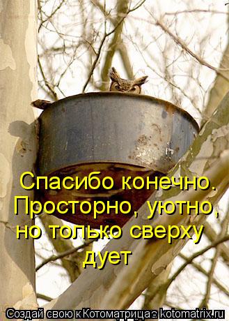 Котоматрица: Спасибо конечно. Просторно, уютно, но только сверху дует