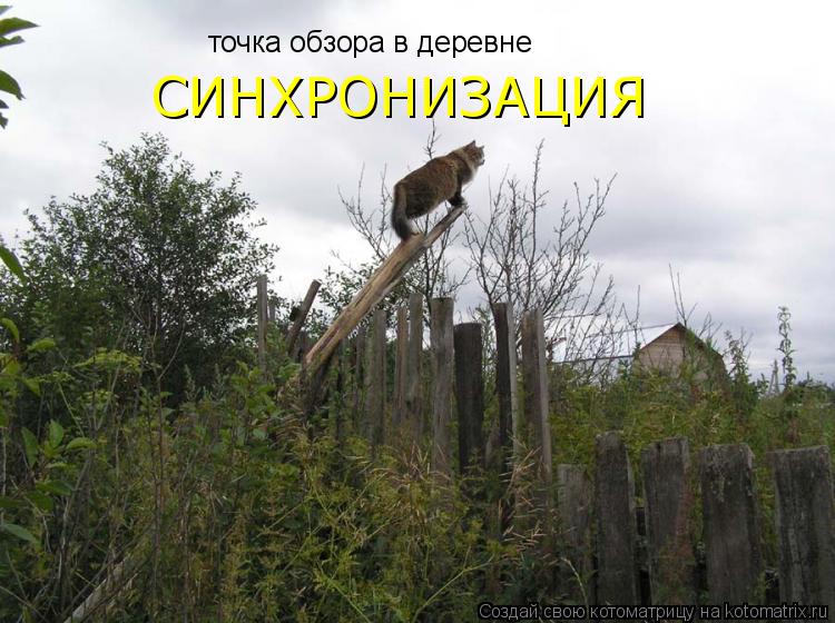 Котоматрица: точка обзора в деревне СИНХРОНИЗАЦИЯ
