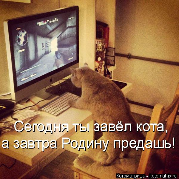 Котоматрица: Сегодня ты завёл кота, а завтра Родину предашь!
