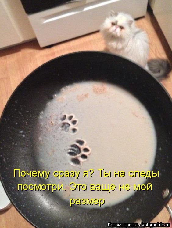 Котоматрица: Почему сразу я? Ты на следы посмотри. Это ваще не мой  размер