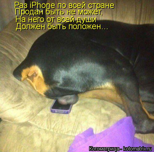 Котоматрица: Раз iPhone по всей стране Продан быть не может, На него от всей души Должен быть положен…