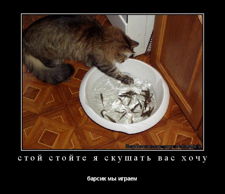 Котоматрица: стой стойте я скушать вас хочу барсик мы играем
