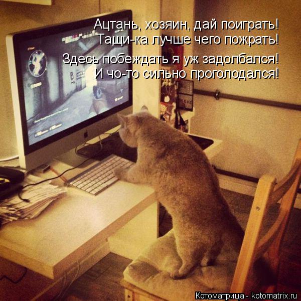 Котоматрица: Ацтань, хозяин, дай поиграть! Тащи-ка лучше чего пожрать! Здесь побеждать я уж задолбался! И чо-то сильно проголодался!